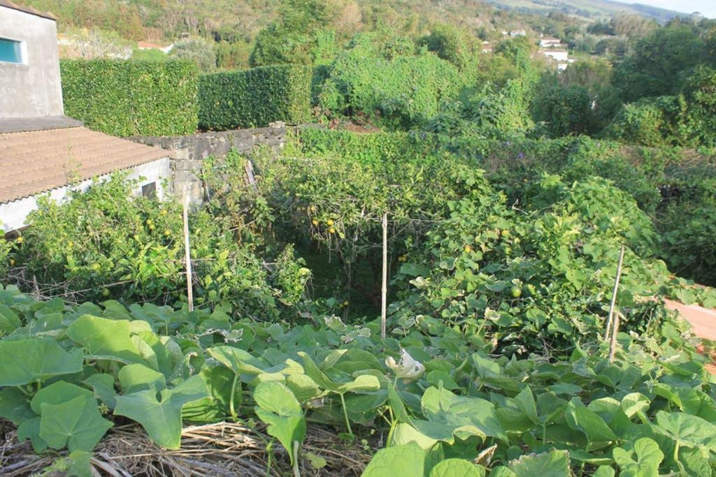 Appartamento Quinta Do Areeiro Horta  Esterno foto